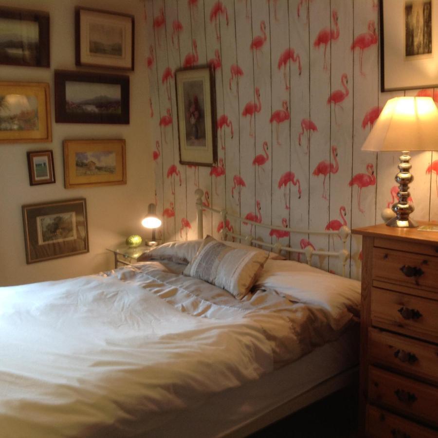 The Firs Lejlighed Builth Wells Eksteriør billede