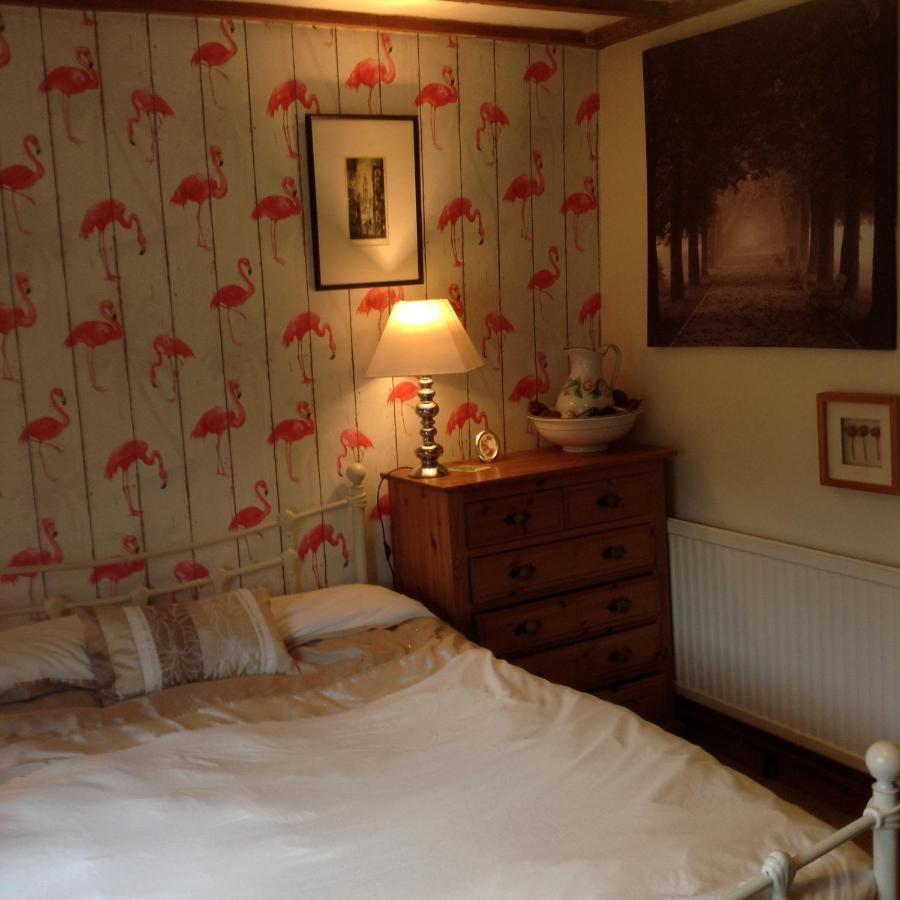 The Firs Lejlighed Builth Wells Eksteriør billede