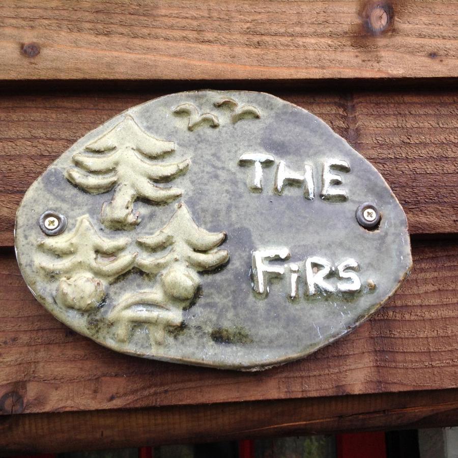 The Firs Lejlighed Builth Wells Eksteriør billede